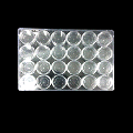 24 Empty Jars in Tray