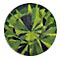 Swarovski SS5- Olivine (40 pcs)