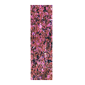 Mable Stickers - T