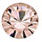 Swarovski SS12 - Light Peach (35pcs)