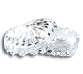 Crystal Powder Jar (Shell Shape Medium)